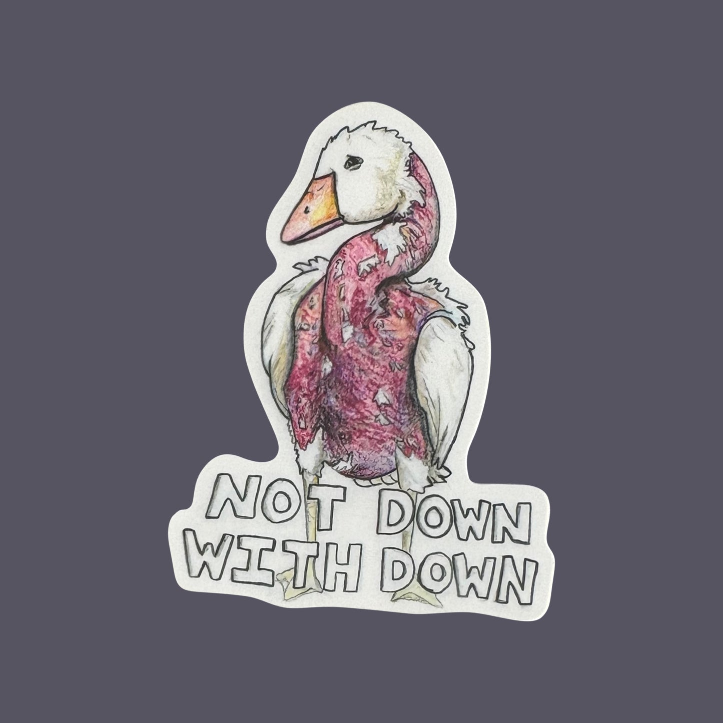 Pack of 5 Vegan Stickers